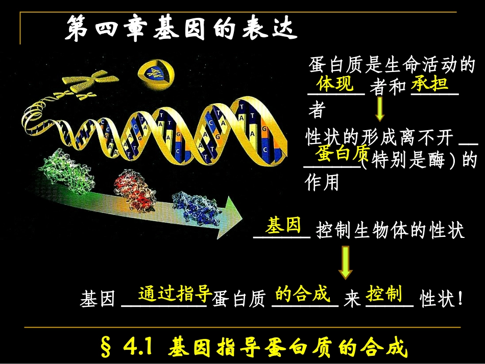 基因指导蛋白质的合成_第1页