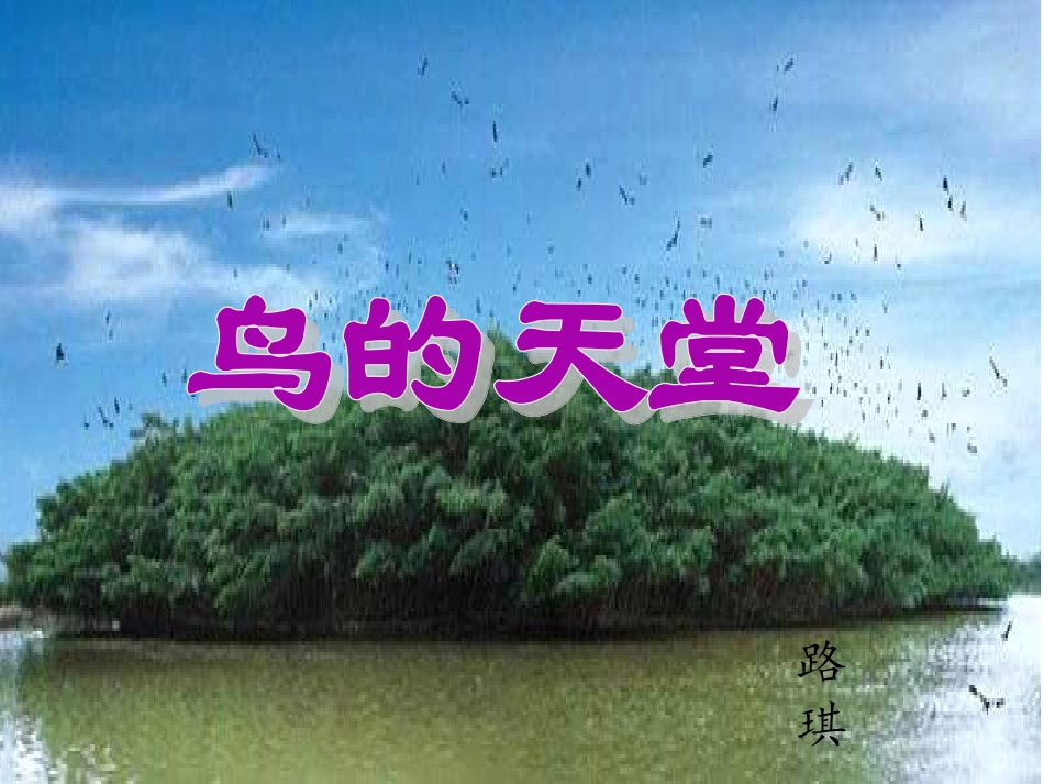 人教版四年级语文上册《鸟的天堂》PPT课件 (5)_第1页