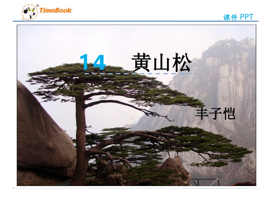 吉林版语文五年级下册《黄山松》_第3页