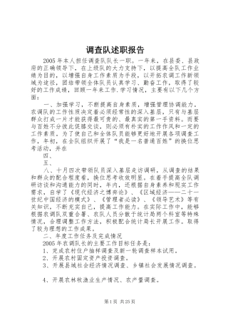 调查队述职报告