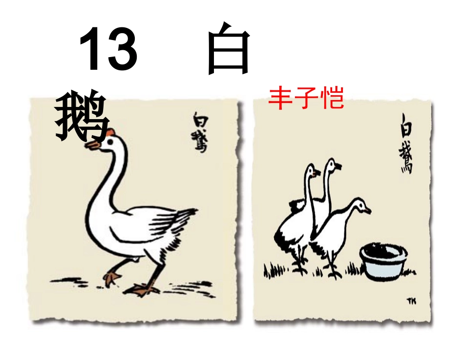四年级语文上册第四组13白鹅课件_第2页