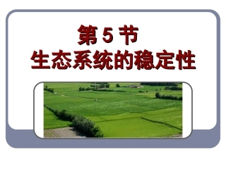 生态系统的稳定性