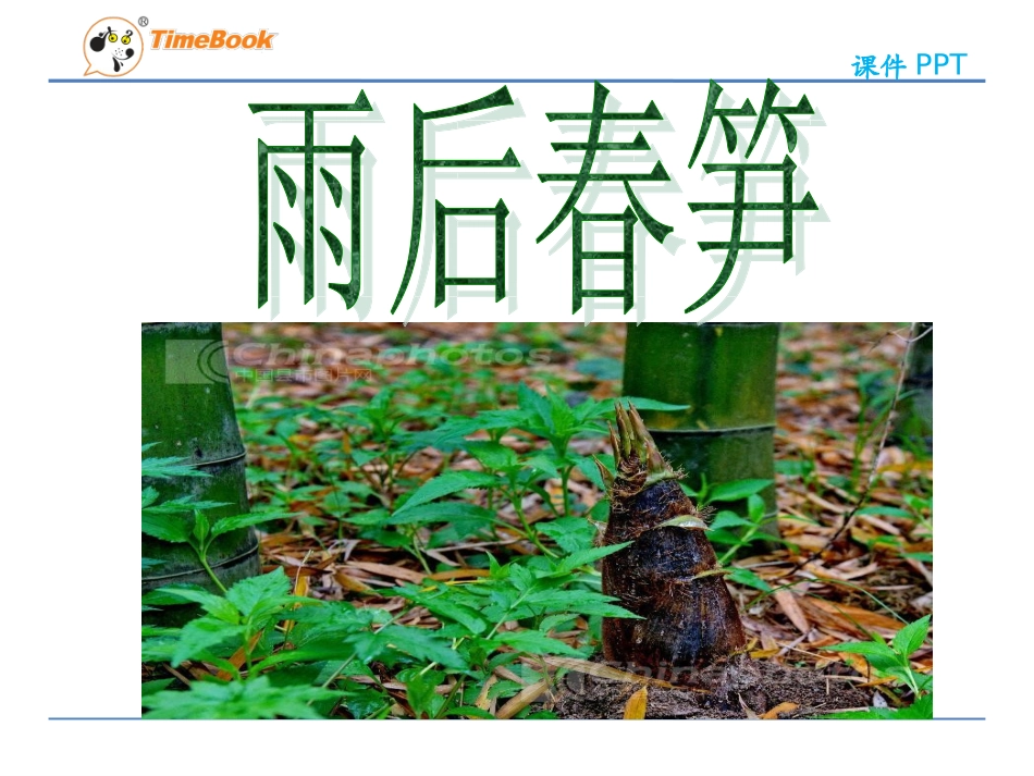 吉林版语文二年级下册《雨后春笋》 (2)_第3页