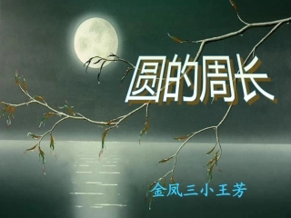 圆的周长课件 (2)