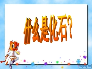 人教二年级上册《33、活化石》