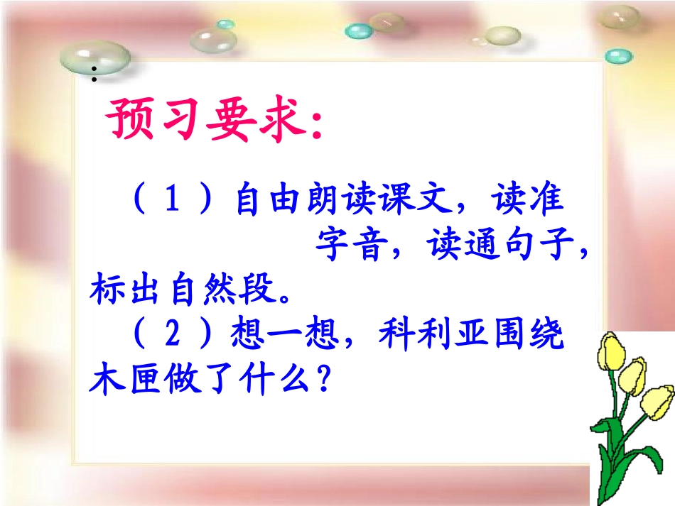 《科里亚的木匣》_第2页