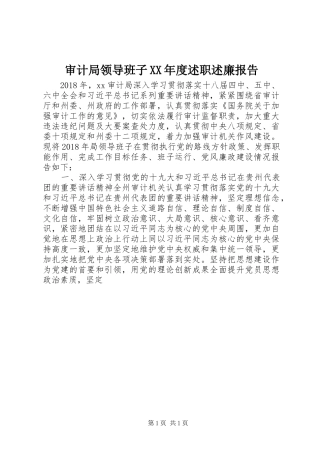 审计局领导班子XX年度述职述廉报告