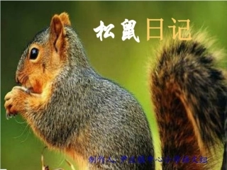 松鼠日记（课件）