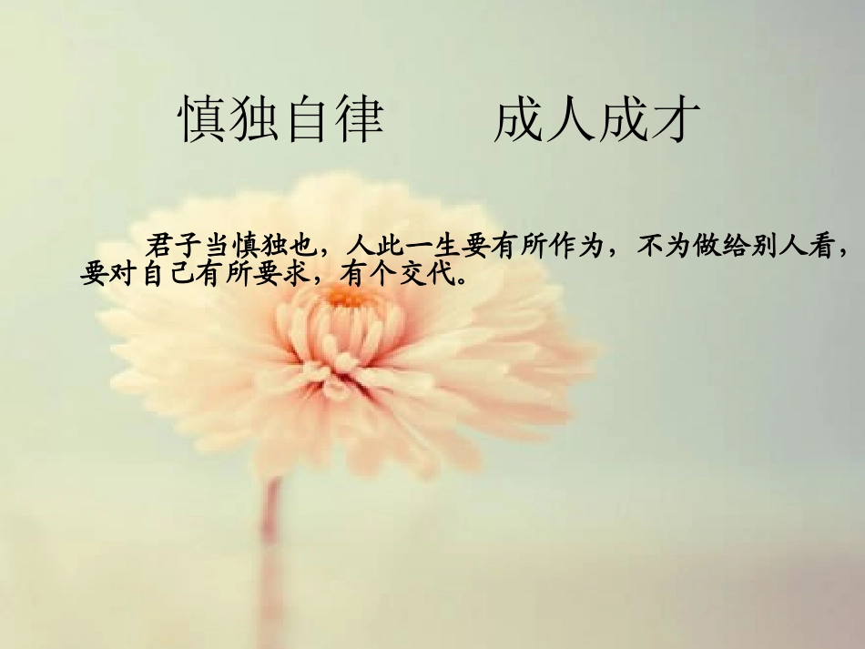 慎独自律成人成才_第3页