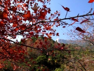 小学语文三年级上册《秋天的雨》PPT课件 (4)