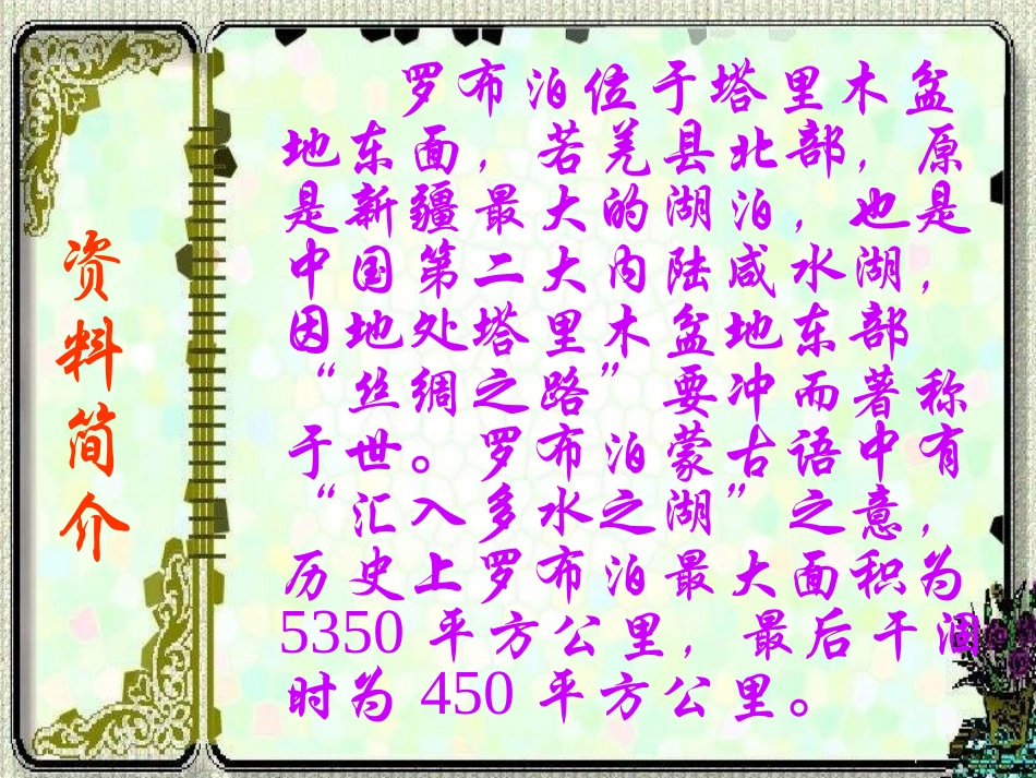 罗布泊，消逝的仙湖_第2页