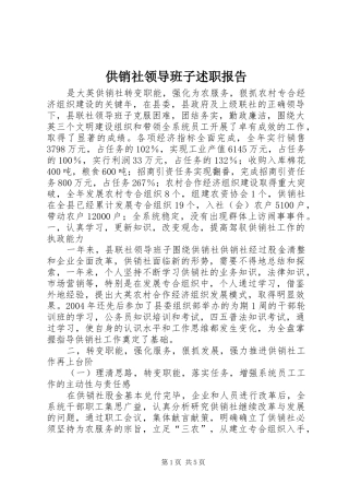 供销社领导班子述职报告