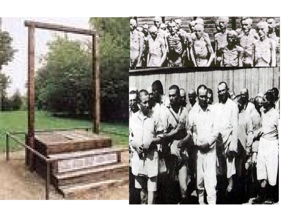 亲爱的爸爸妈妈_2课时_第3页