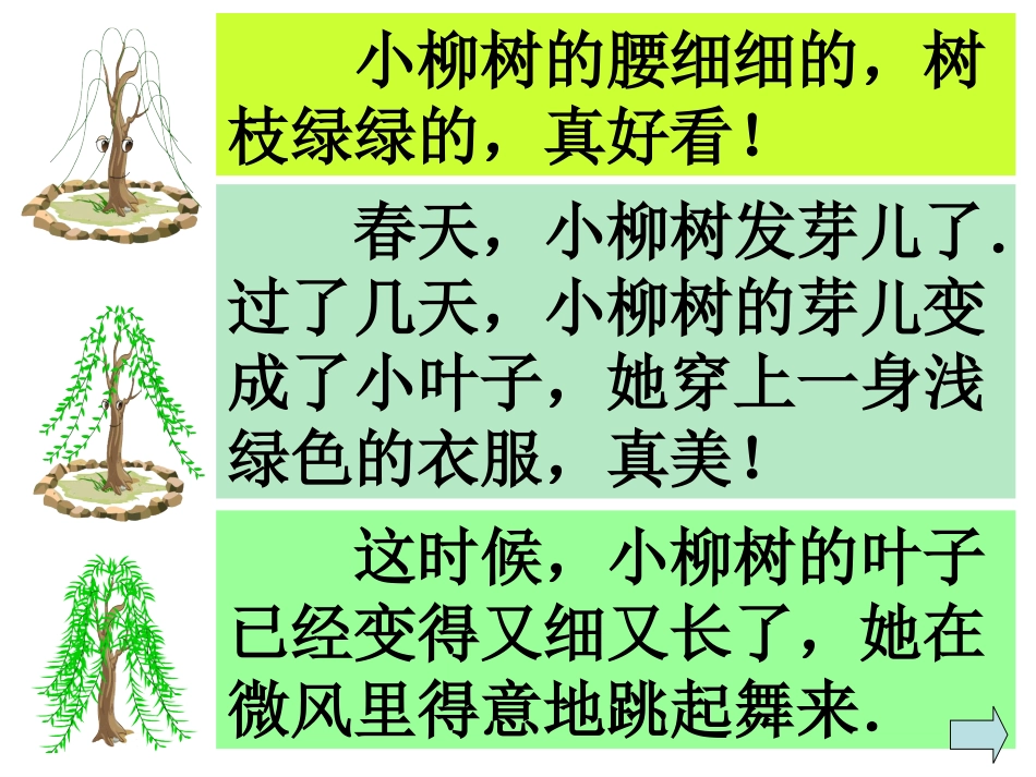 小柳树和小枣树课件 (3)_第3页