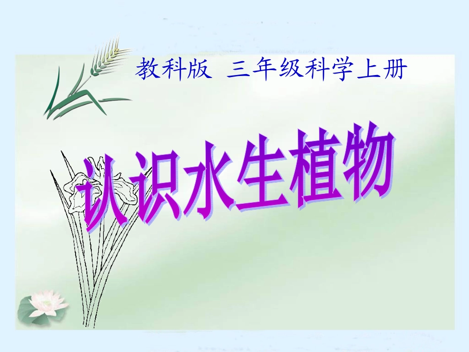 三年级科学上册_水生植物课件_教科版 (2)_第1页