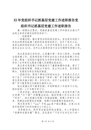 XX年党组织书记抓基层党建工作述职报告党组织书记抓基层党建工作述职报告