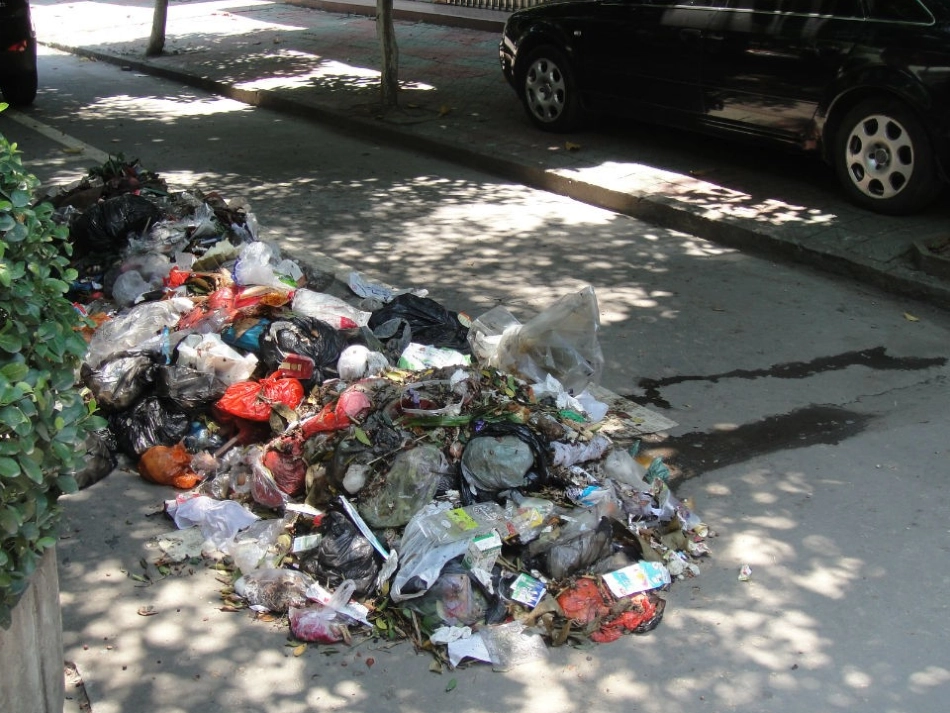 《礼仪：垃圾分类》课件_第2页