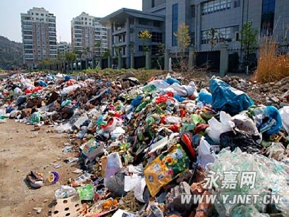 《礼仪：垃圾分类》课件_第3页