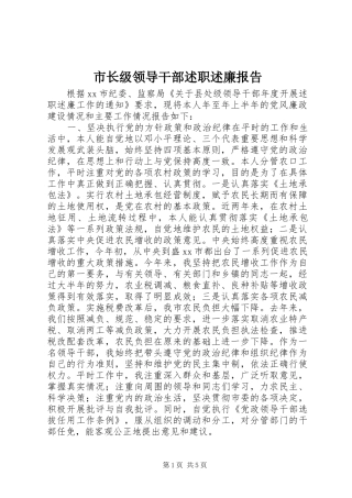 市长级领导干部述职述廉报告