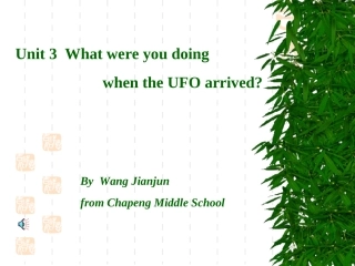 人教版新目标英语八年级下册Unit_3全套课件本课件