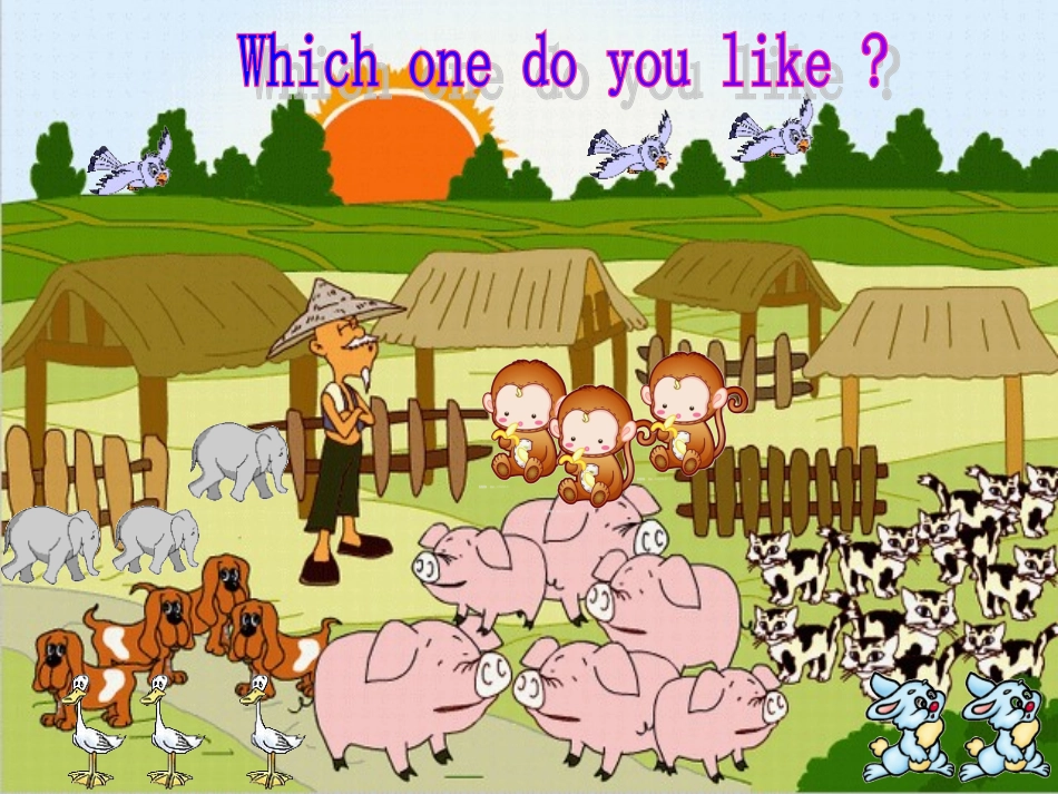 At_a_farm讲课课件_第3页