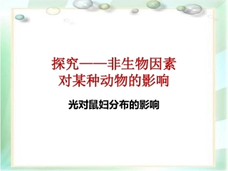 探究——非生物因素