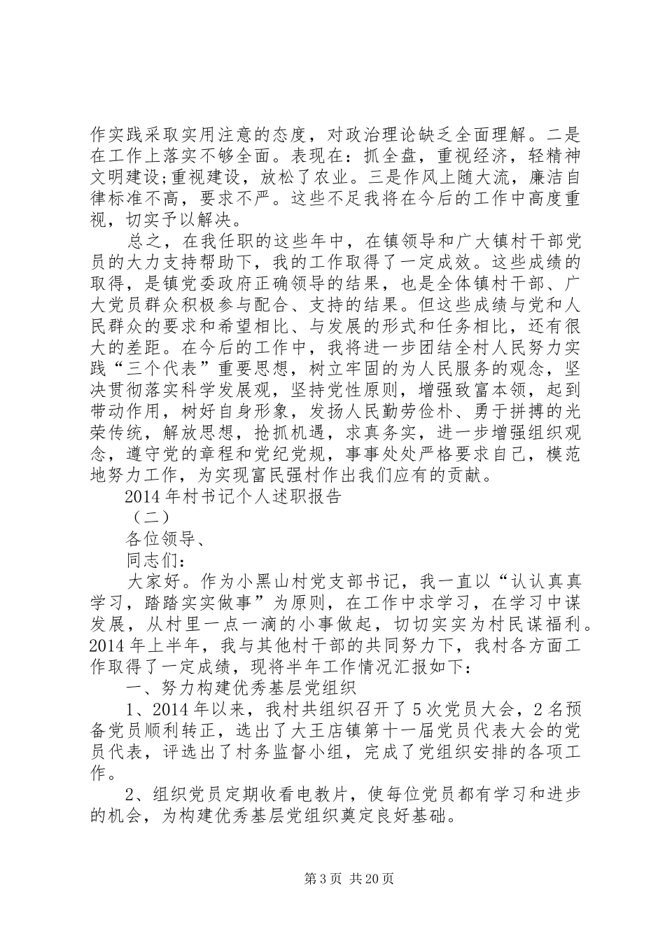 XX年村书记个人述职报告_第3页