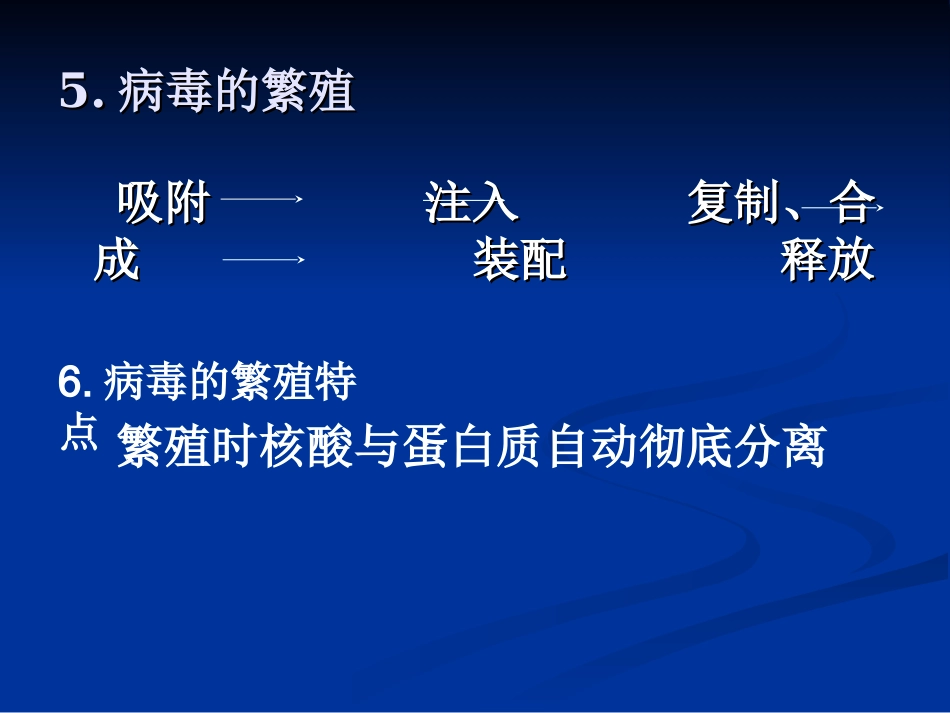 噬菌体浸染细菌实验：_第3页