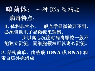 噬菌体浸染细菌实验：