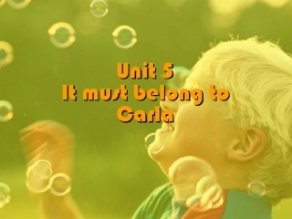 九年级英语Unit5ItmustbelongtoCarla新课标人教版