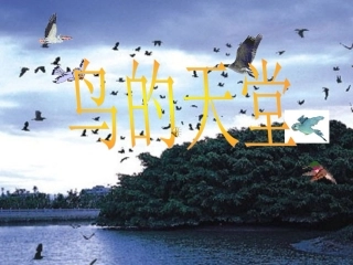 人教版语文四年级上册3、《鸟的天堂》