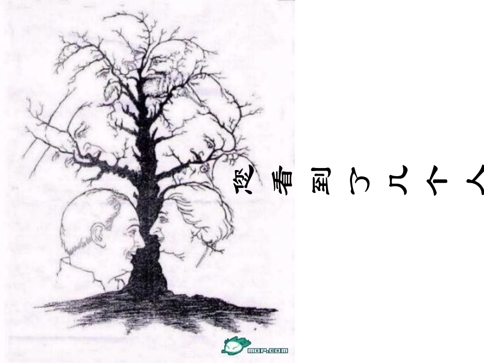 如何培养良好的观察力_第2页