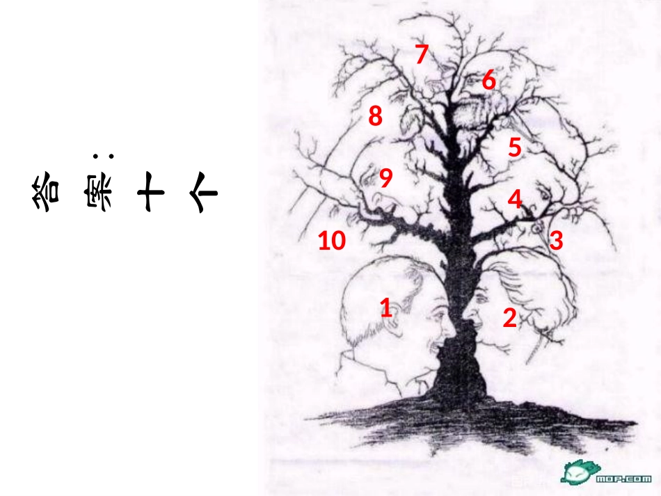 如何培养良好的观察力_第3页