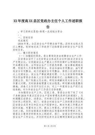 XX年度高XX县区党政办主任个人工作述职报告