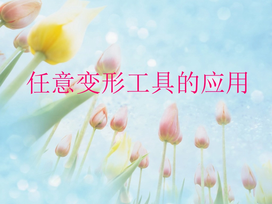 任意变形工具的应用_第1页