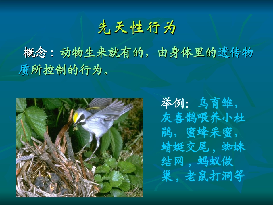 《先天性行为和学习行为》课件4_第2页
