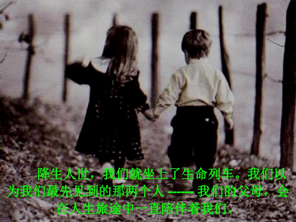 生命的列车——杨华_第3页