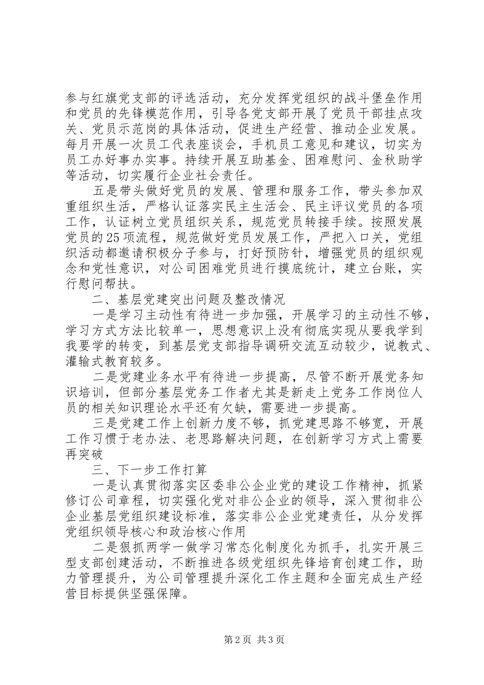 基层党建工作述职报告（含突出问题及整改情况）_第2页
