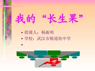 《我的“长生果”》PPT课件