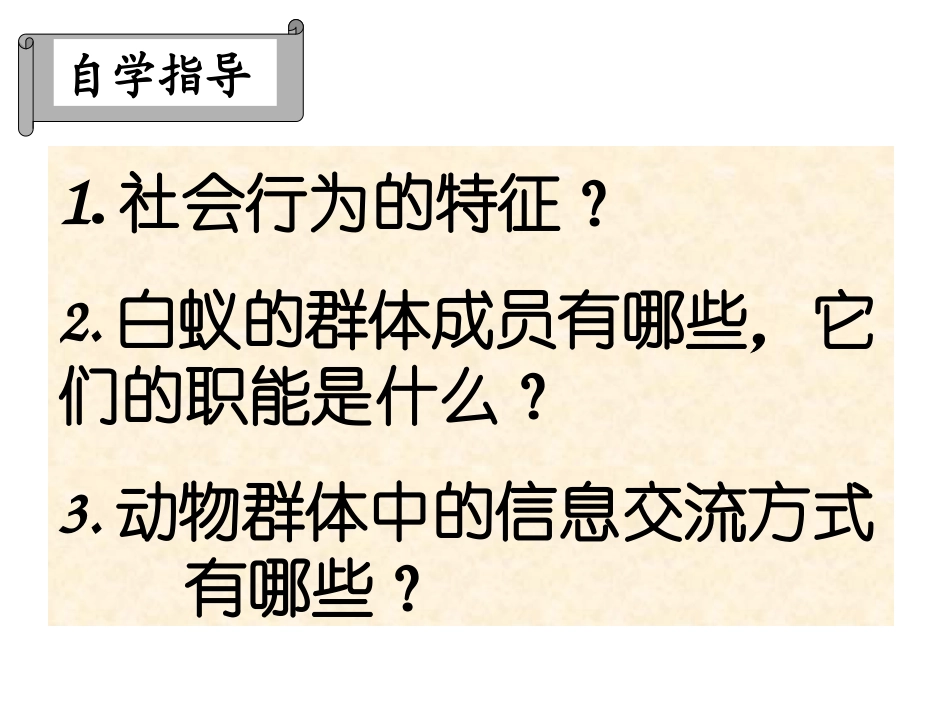 《社会行为》课件2_第3页