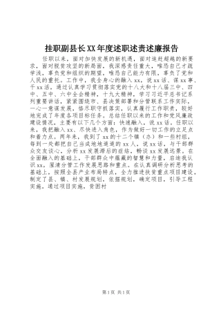 挂职副县长XX年度述职述责述廉报告