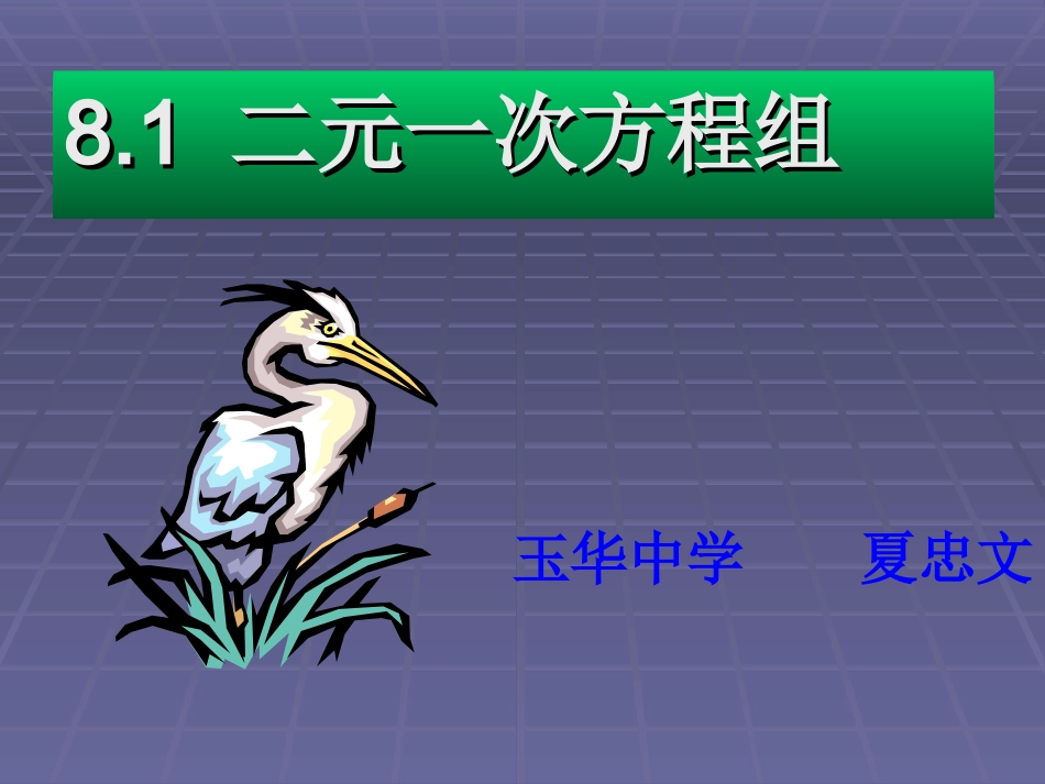 数学七年级下人教新课标81二元一次方程组-2课件_第2页