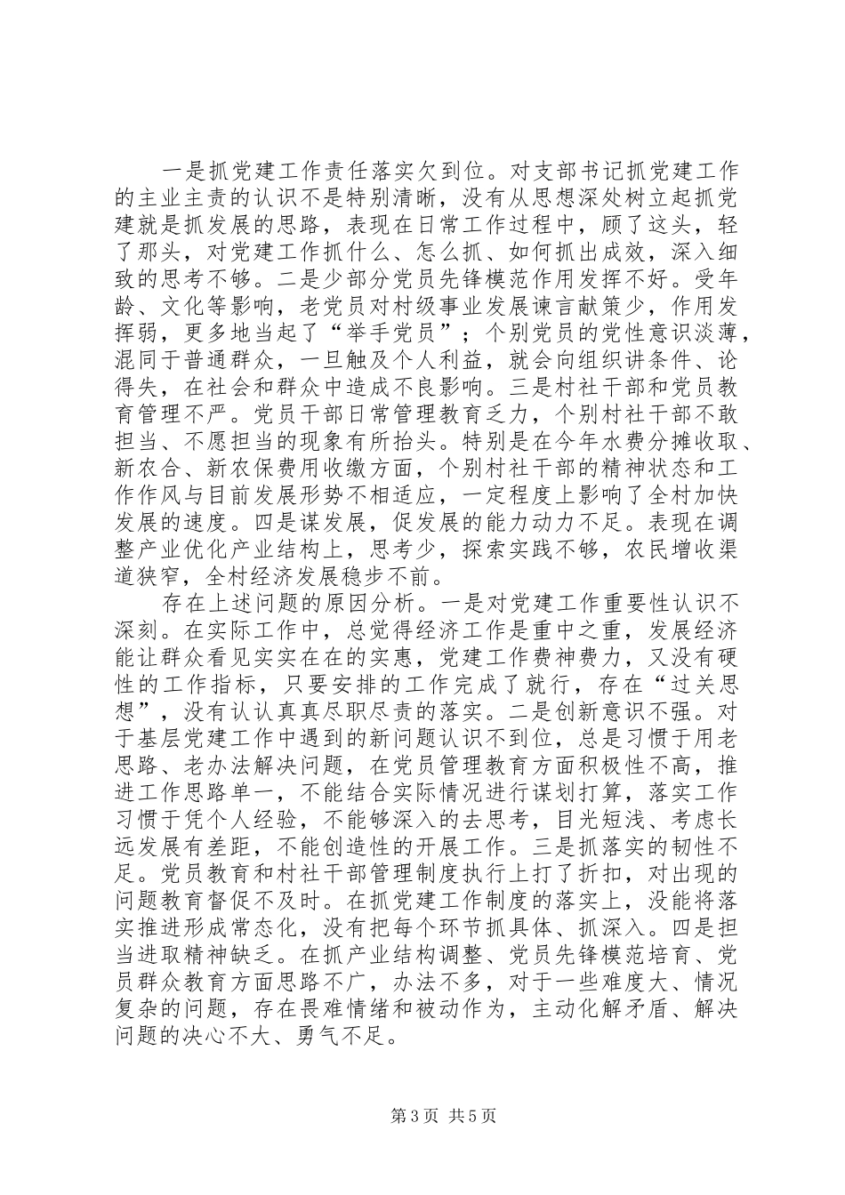 XX年村党支部书记抓党建工作专项述职报告_第3页