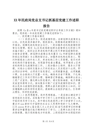 XX年民政局党总支书记抓基层党建工作述职报告