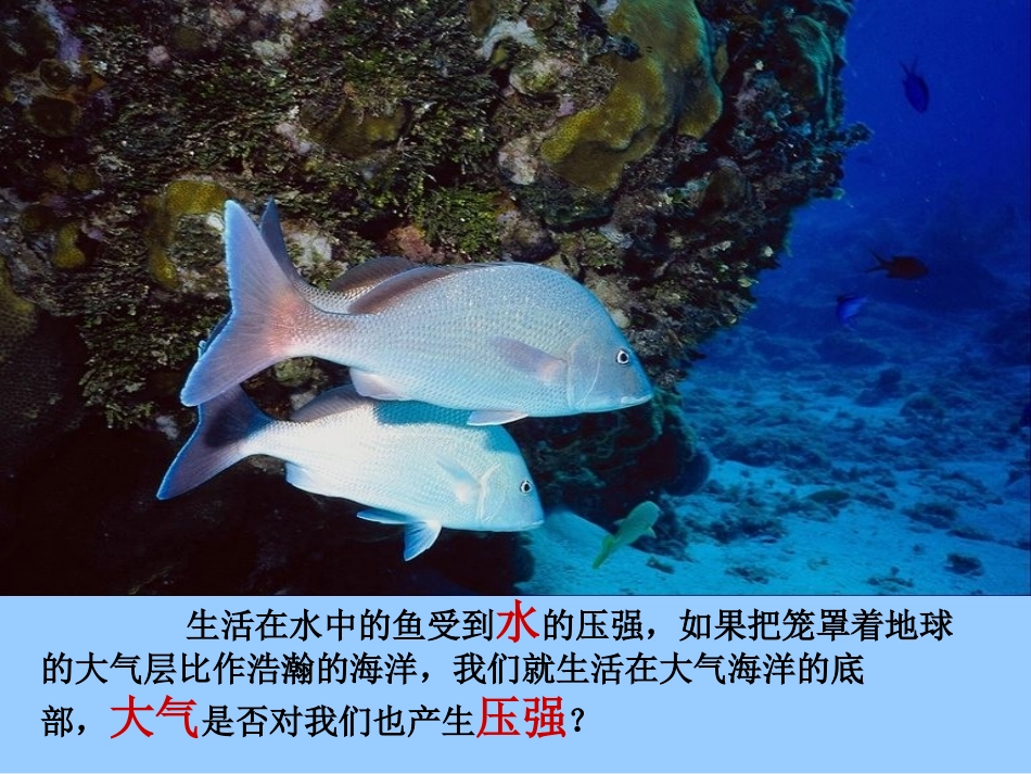 教科版初中物理八下94《大气压强》PPT课件1_第2页