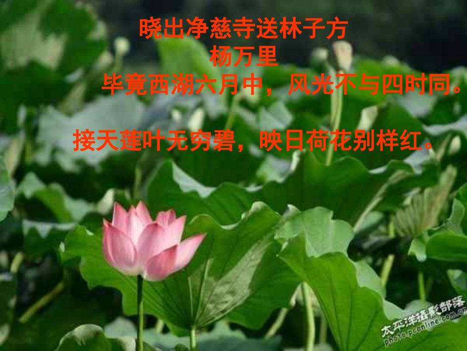 湖心亭看雪课件_精品_第3页