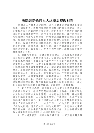 法院副院长向人大述职后整改材料