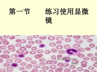 显微镜的使用