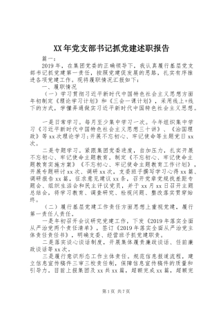 XX年党支部书记抓党建述职报告