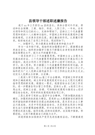 县领导干部述职述廉报告